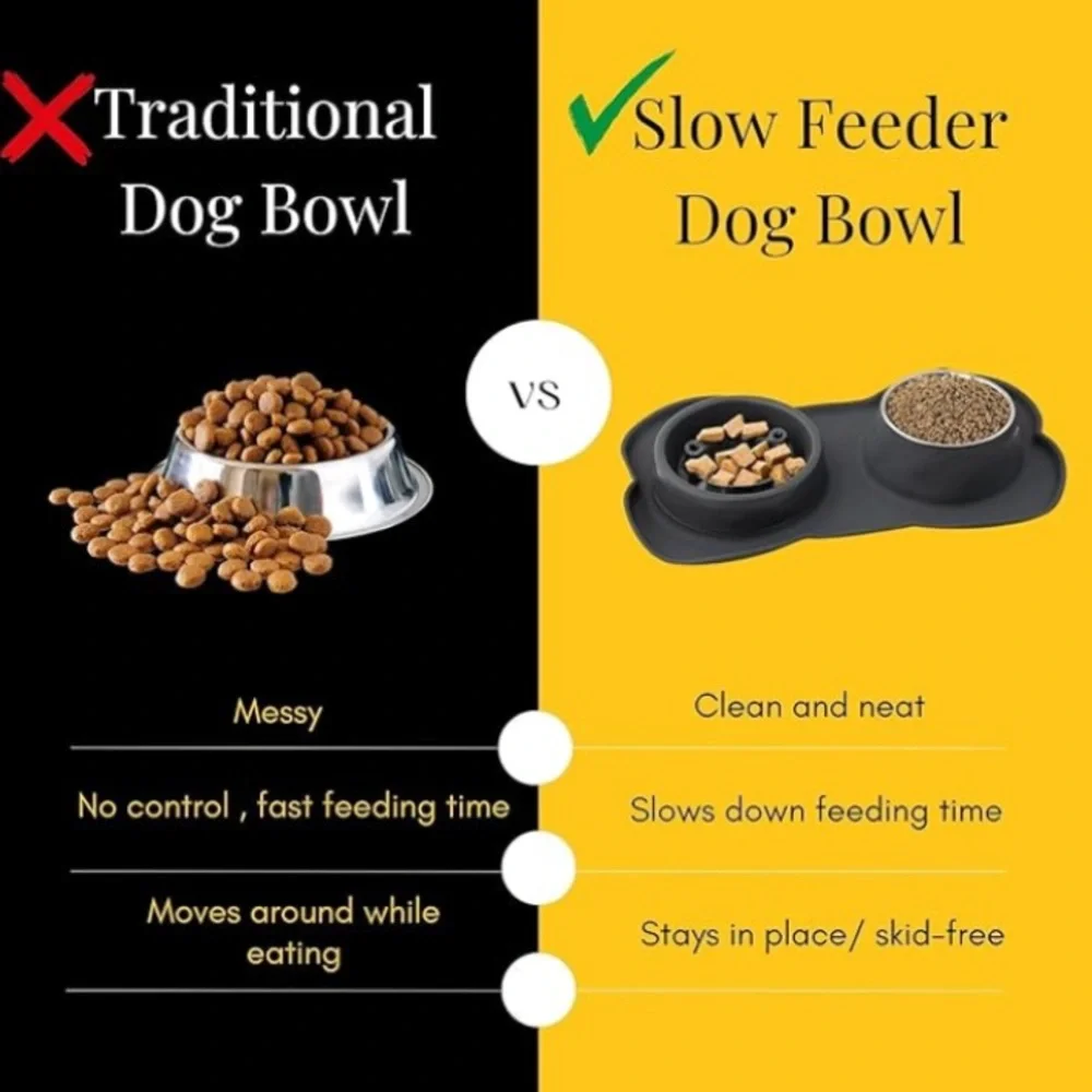Canine Karma Pet Goodness Slow Feeder Dog Bowl Set